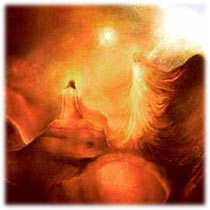 sufi web design