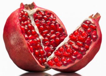 Kisah Buah Delima Kecut dan Pekerja Jujur